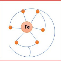 Mitochondria Hexadentate Iron Chelator